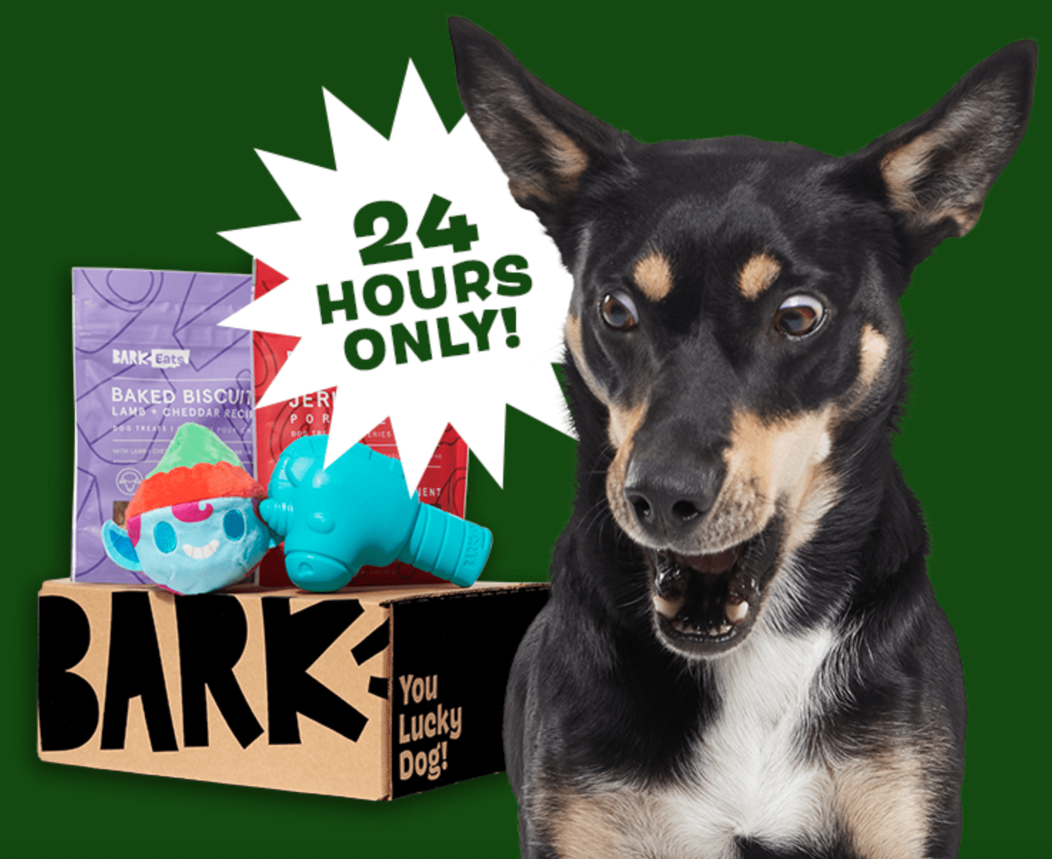 Read more about the article Super Chewer by BarkBox Black Friday Coupon Code – First Box FREE